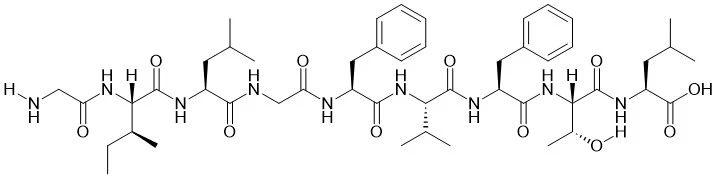 Matrixprotein M1 (58-66) (influenza A-virus)