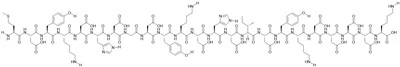 3x Flagpeptid
