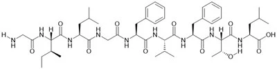 Matrixprotein M1 (58-66) (influenza A-virus)
