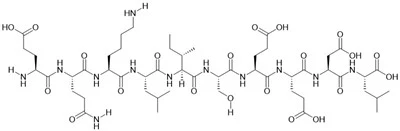 Myc Epitope Peptid