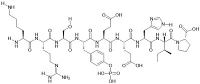 Neuropeptid F (NPF), Human