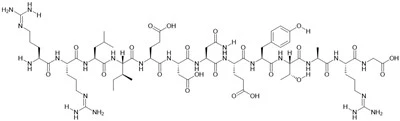 Pp60(v-SRC) autophosphoryleringssted, proteintyrosinkinasesubstrat
