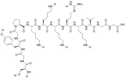SV40 Nuklear Transport Signal Peptide Analog